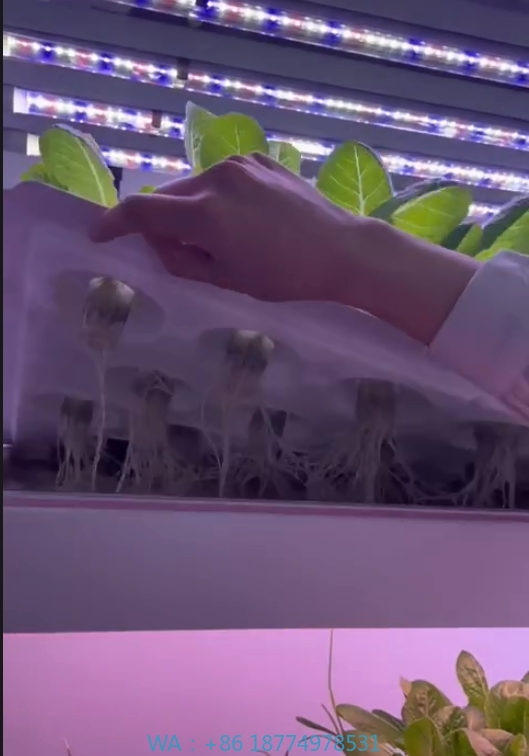 f Теплица Сельскохозяйственное – обзор и цена Farming Agriculture Equipment